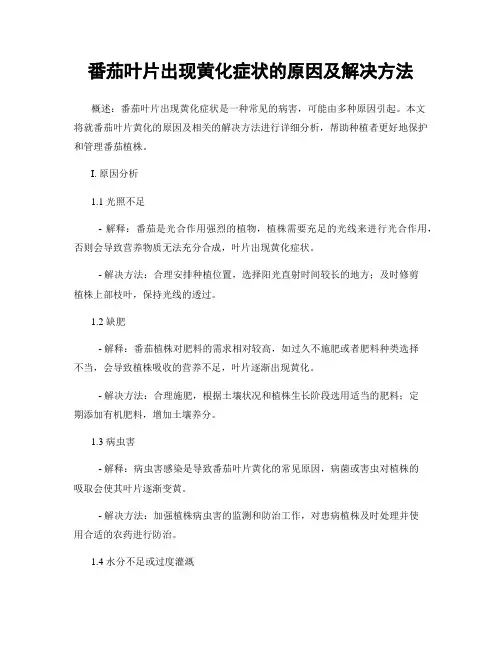番茄叶片出现黄化症状的原因及解决方法
