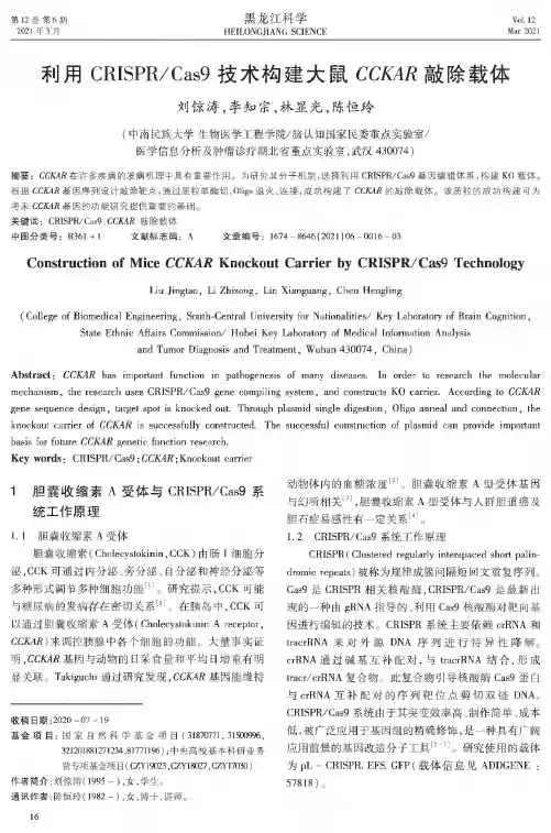 利用CRISPRCas9技术构建大鼠CCKAR敲除载体