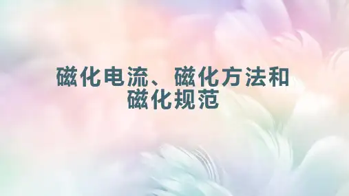 磁粉检测技术：磁化规范-磁化规范及其制定方法