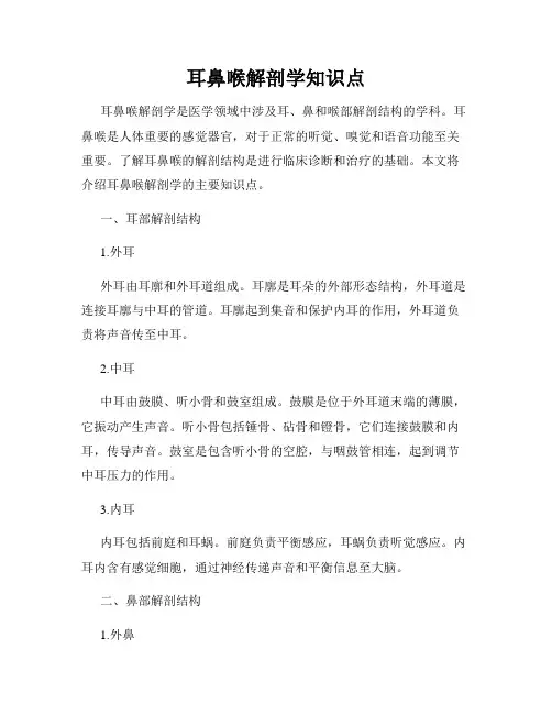 耳鼻喉解剖学知识点