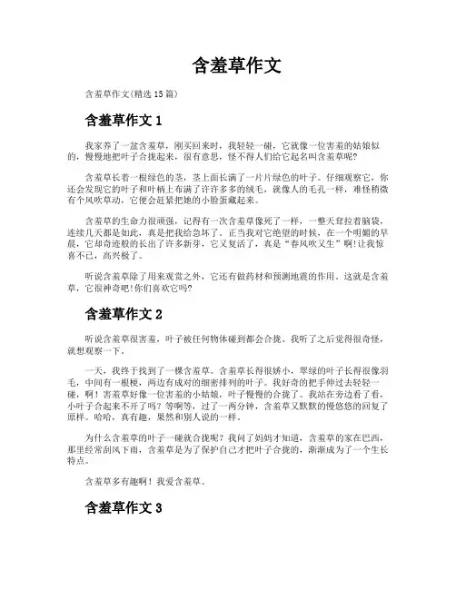 含羞草作文