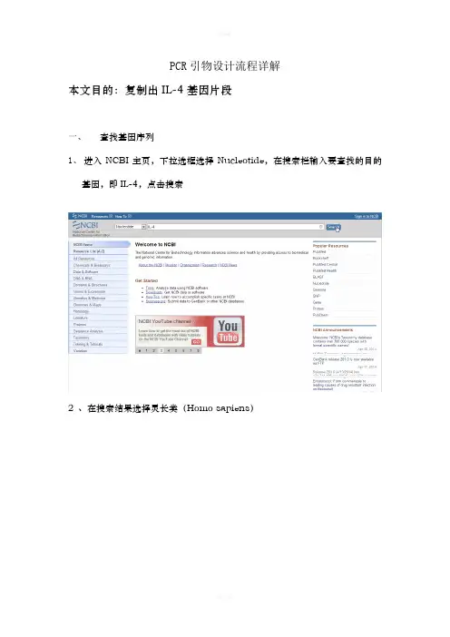 PCR引物流程设计详解