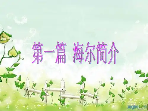 关于海尔PPT展示