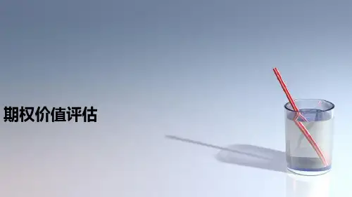 教程资料：7.1 期权价值评估