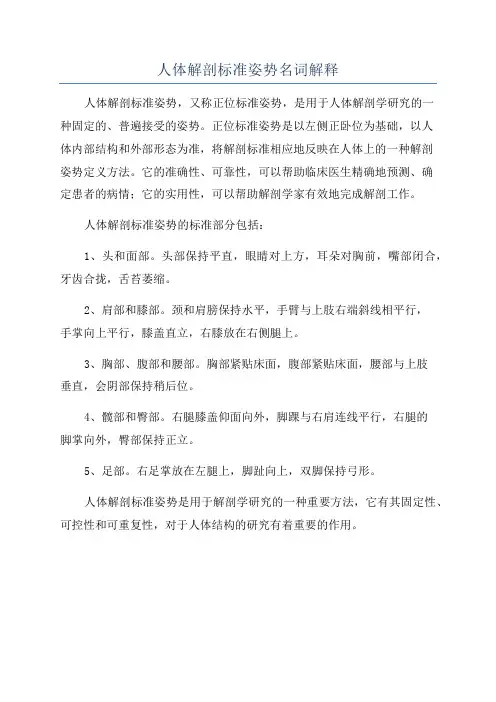人体解剖标准姿势名词解释
