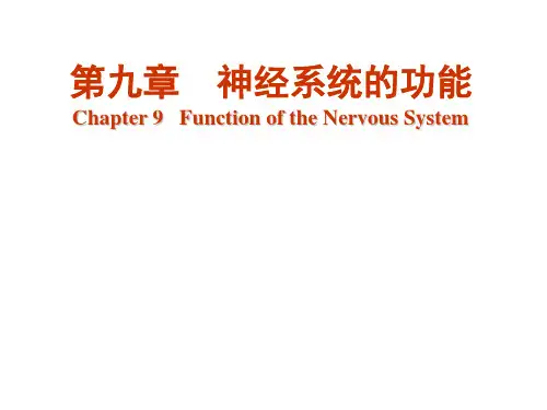 生理学课件：第九章  神经系统的功能-1