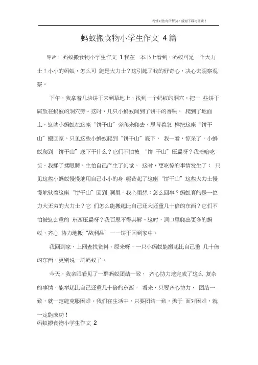 蚂蚁搬食物小学生作文4篇