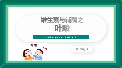 维生素与辅酶之叶酸
