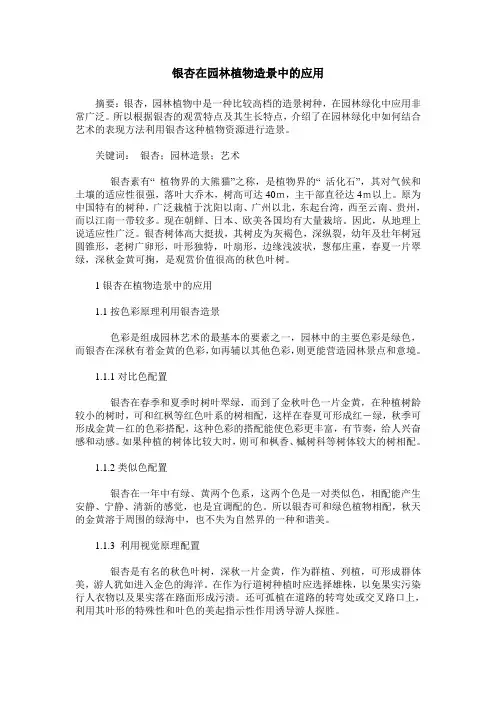 银杏在园林植物造景中的应用