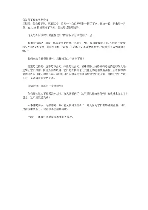 我发现了猫的奥秘作文