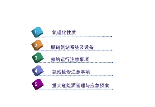 氨气液氨使用安全管理培训最新PPT109页课件