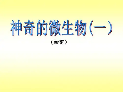 神奇的微生物(一)