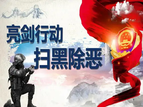 扫黑除恶专项斗争ppt课件