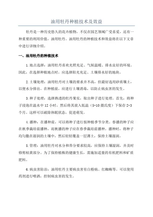 油用牡丹种植技术及效益