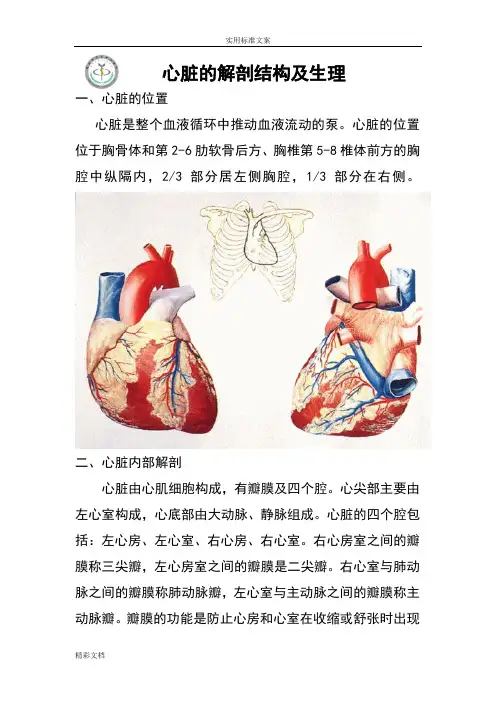 心脏地解剖结构及生理(含彩图)