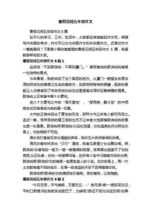 暑假见闻五年级作文6篇