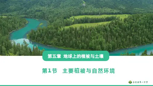 湘教版(2019)高中地理必修第一册5.1 主要植被与自然环境(共33张PPT)