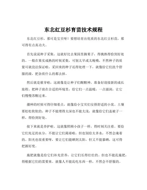 东北红豆杉育苗技术规程