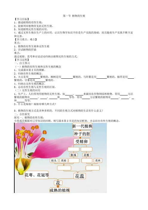 人教版生物八年级下册第一节  植物的生殖导学案(2)