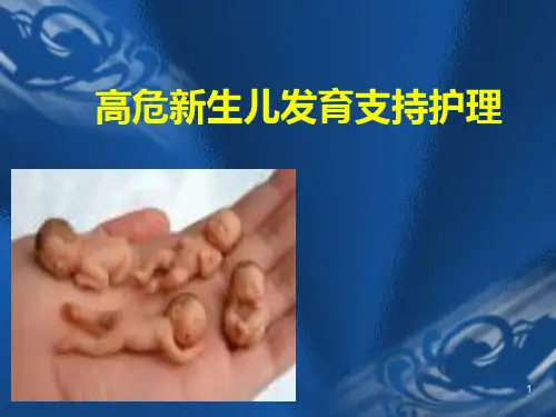 高危新生儿发育支持护理PPT课件