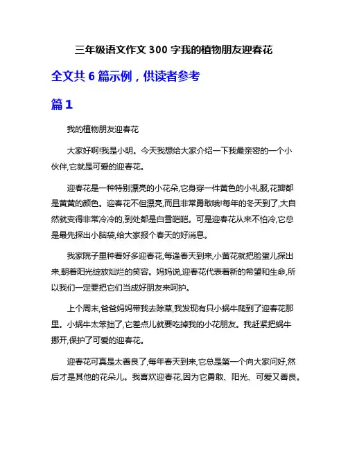三年级语文作文300字我的植物朋友迎春花