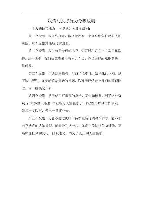 决策与执行能力分级说明
