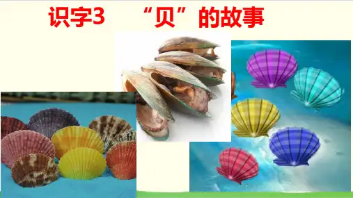 部编教材二年级下册语文《“贝”的故事》ppt精讲课件