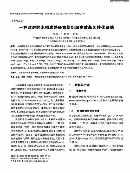 一种改进的水稻成熟胚愈伤组织高效基因转化系统