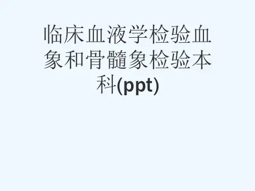 临床血液学检验血象和骨髓象检验本科(ppt)