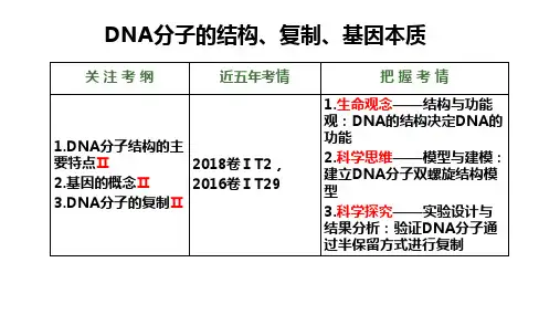 2022届高考生物一轮复习课件(知识精讲+思维导图)DNA的结构、复制与基因本质1