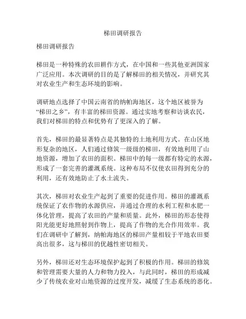 梯田调研报告