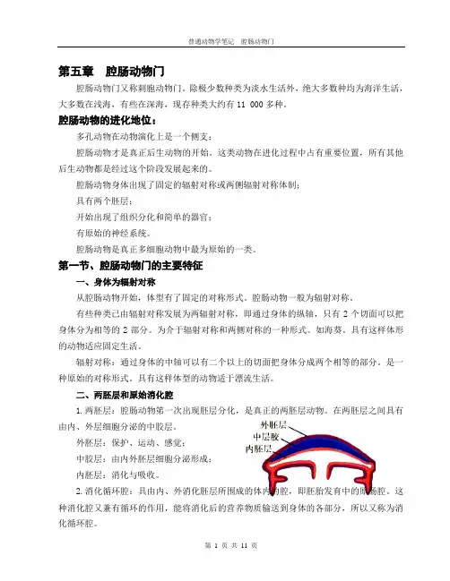 06 腔肠动物门