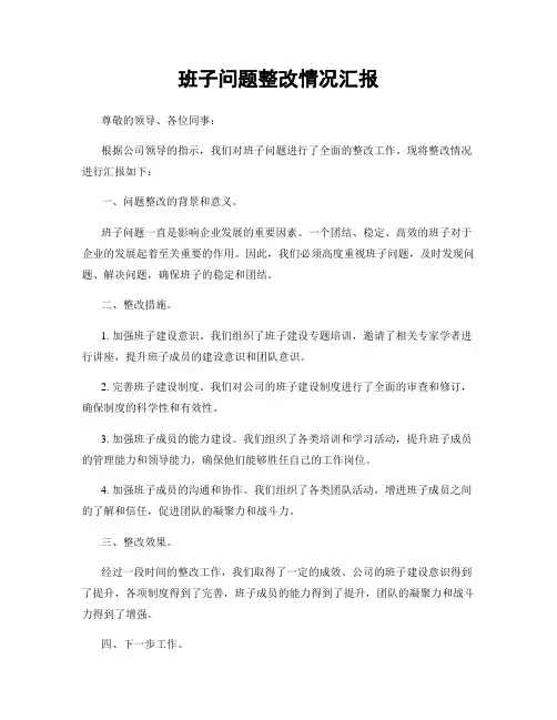 班子问题整改情况汇报
