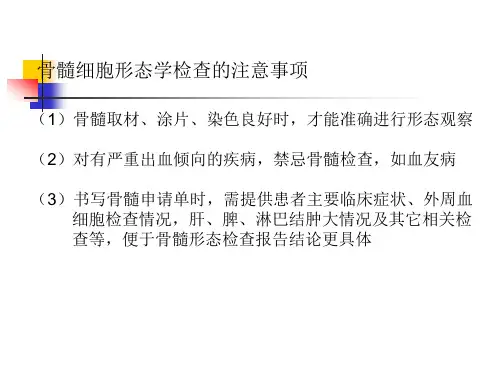 正常骨髓形态学检查