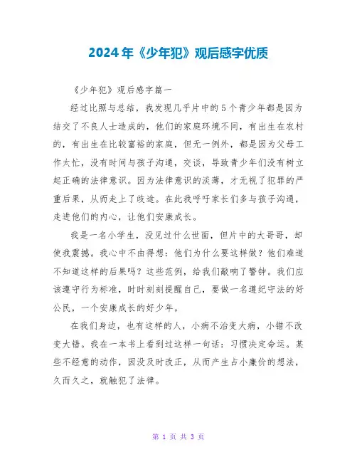 2024年《少年犯》观后感字优质