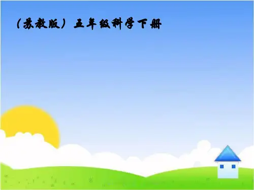 《大脑》实用课件苏教版科学1