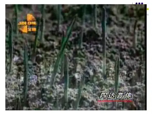 北师大版品德与社会六上《“四大件”的变迁》PPT课件1