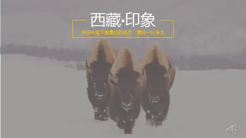 西藏印象旅游宣传PPT课件