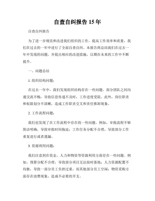 自查自纠报告15年