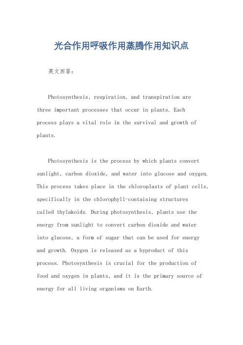 光合作用呼吸作用蒸腾作用知识点