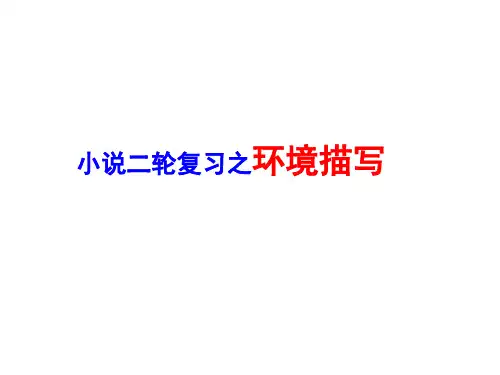 2020年高考语文二轮复习：小说的环境的描写