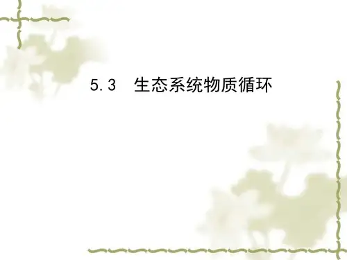 高中生物生态系统的物质循环