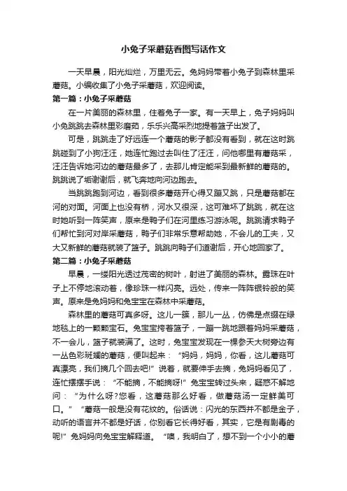 小兔子采蘑菇看图写话作文