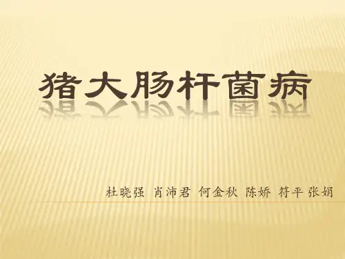 猪大肠杆菌病