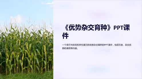 《优势杂交育种》课件