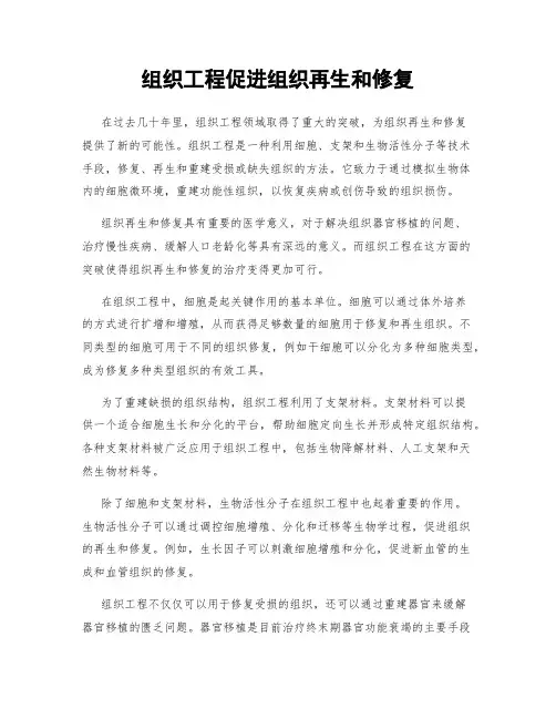 组织工程促进组织再生和修复