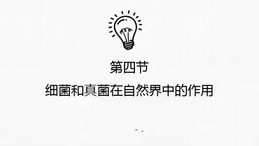 《细菌和真菌在自然界中的作用》PPT教学课件