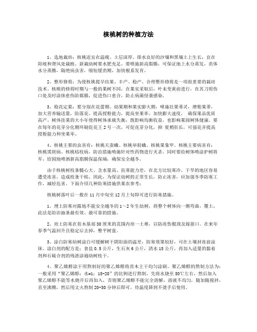 核桃树的种植方法