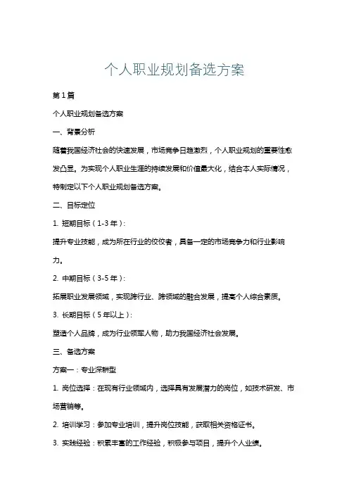 个人职业规划备选方案