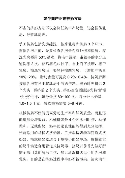 奶牛高产正确挤奶方法